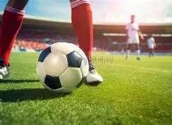 印尼球迷怒,惨案,小丑克鲁伊,万博manbetx体育平台,万博体育官网,万博体育app下载,ManBetX,SPORTS