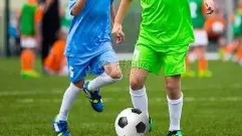 《斯特林家中惊魂夜：名门望族遭遇神秘窃贼，警方紧急介入调查》