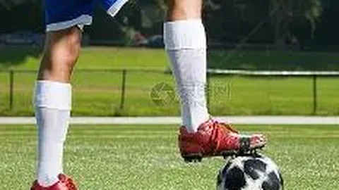 大乐透期号专家质合分析：前区十码推荐详解